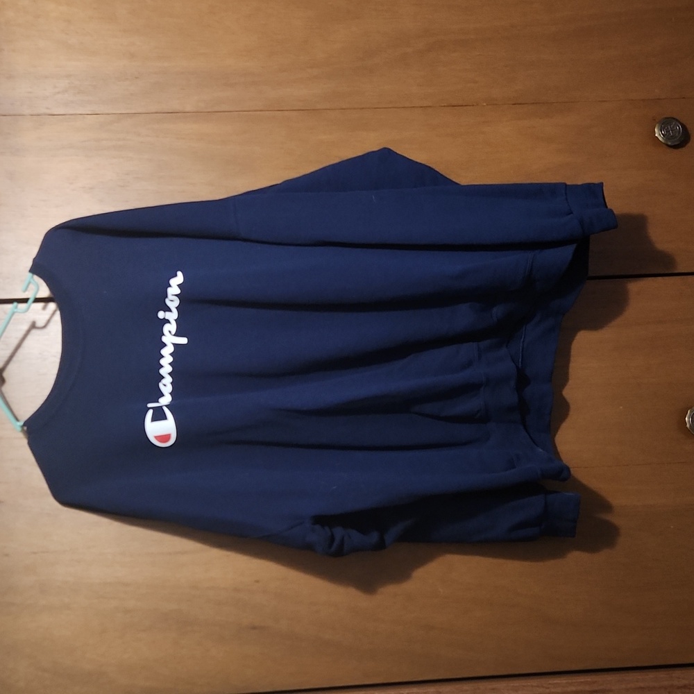 2 mens champion sweatshirts 4xl